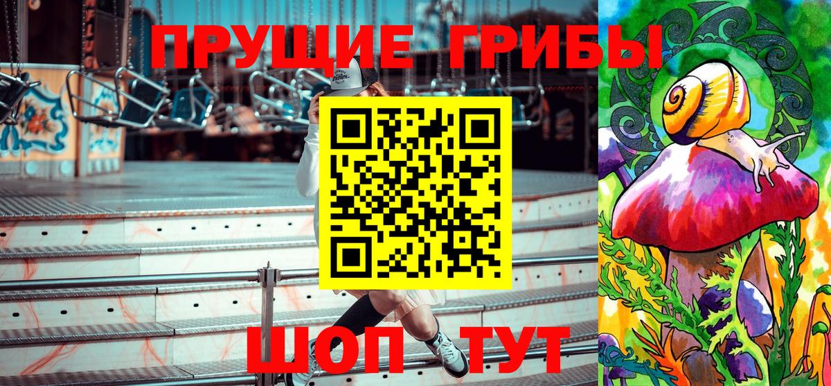 Галлюциногенные грибы Psilocybe  Вход с VPN  Лениногорск  Псилоцибиновые грибы Psilocybe 