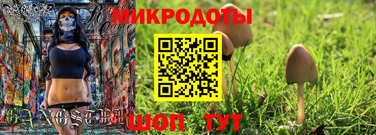 Псилоцибиновые грибы GOLDEN TEACHER Лениногорск