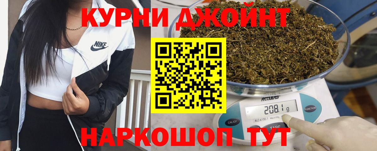 Канабис сатива Лениногорск